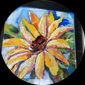 Meet your Posher, Dana